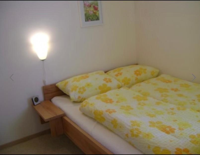 Komfort Ferienwohnung Wunder 고슬라르 외부 사진